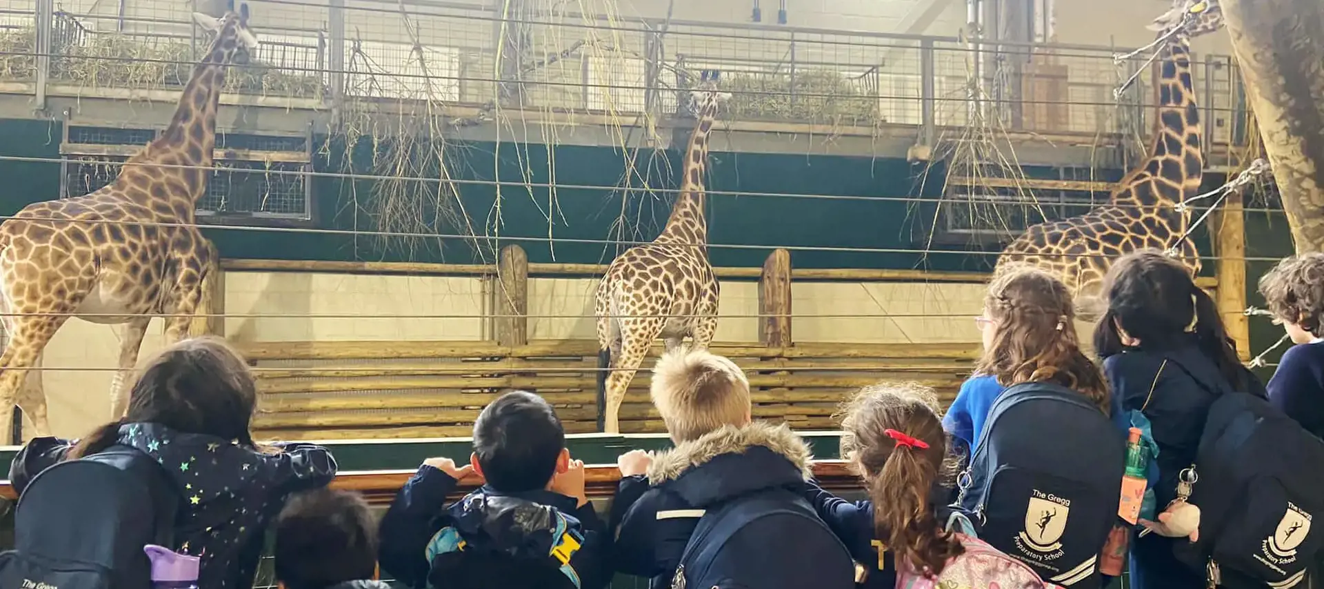 Prep pupils from The Greg Prep School on a visit to the Zoo